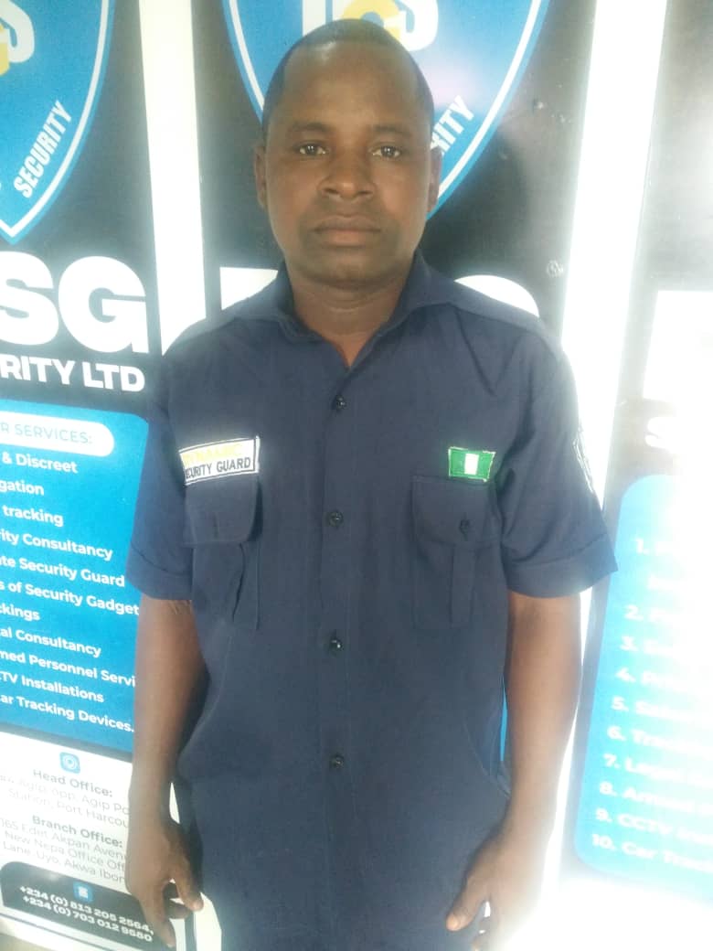 DSG security professional 2